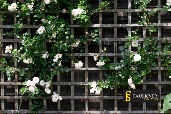 Can I put trellis on my Neighbours garage wall? 2 Do you want to adapt your neighbours garage door and add a trellis High-Wycombe? Talk to Faulkner Surveyor High-Wycombe